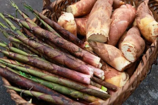 我们和地球猜一猜:菜肴中的