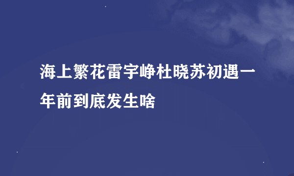 海上繁花雷宇峥杜晓苏初遇一年前到底发生啥