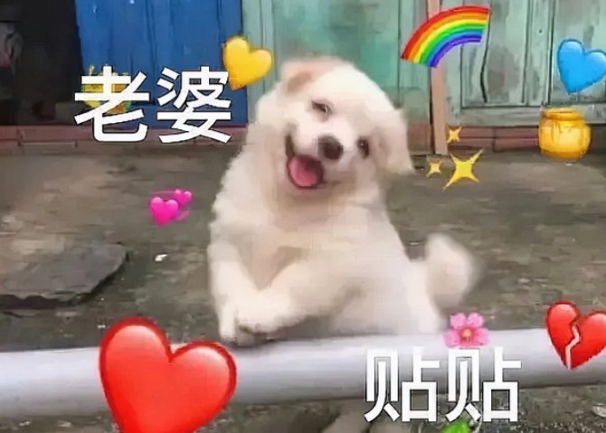 贴贴是什么梗？