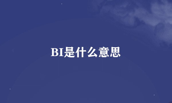 BI是什么意思