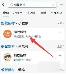 蚂蚁新村怎么升级海风冲浪店