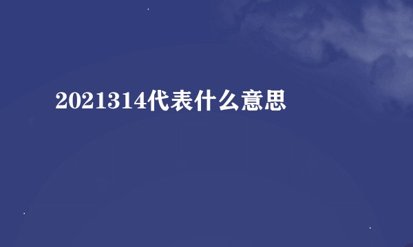 2021314代表什么意思