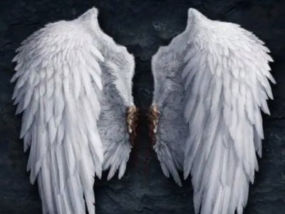 在寂静世界里 破碎的什么里是什么歌