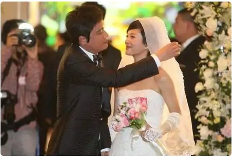 罗嘉良为什么看上苏岩