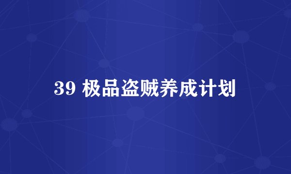 39 极品盗贼养成计划