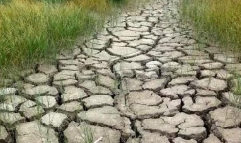 湖南97个县市区“特旱”,该地区人口和农作物因旱用水问题该如何解决?