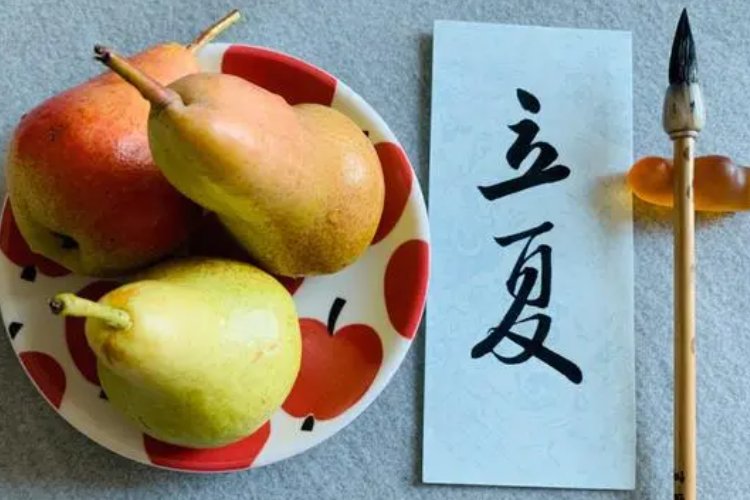 立夏看夏的说法是指什么意思