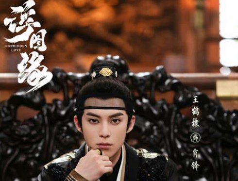 浮图缘什么时候更新?