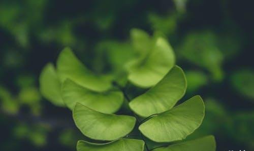 假如一个人给不了另一个人未来，正确的做法是什么？