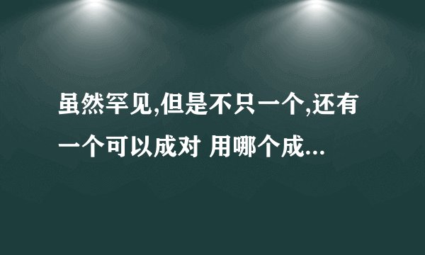 虽然罕见,但是不只一个,还有一个可以成对 用哪个成语可以表达