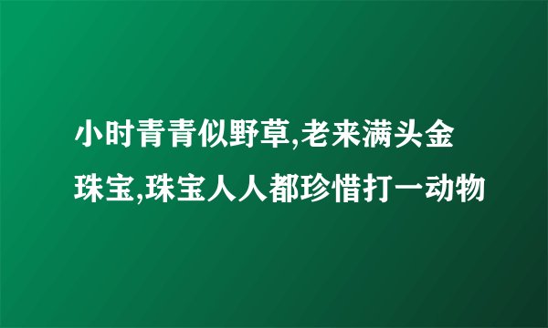 小时青青似野草,老来满头金珠宝,珠宝人人都珍惜打一动物