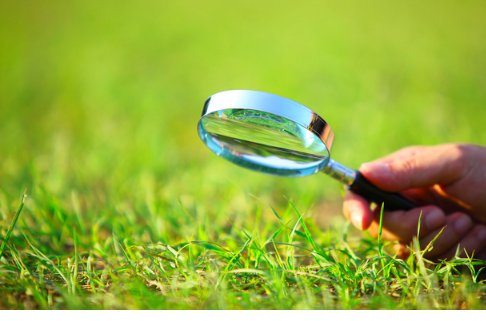 浙江将重奖环境污染问题举报者，最高奖励多少？