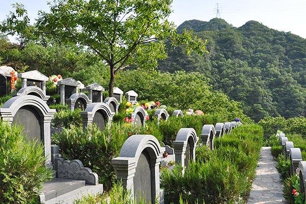 常州金坛回应公墓“干部区”，系民众称呼习惯，事情真如所回应所说吗？