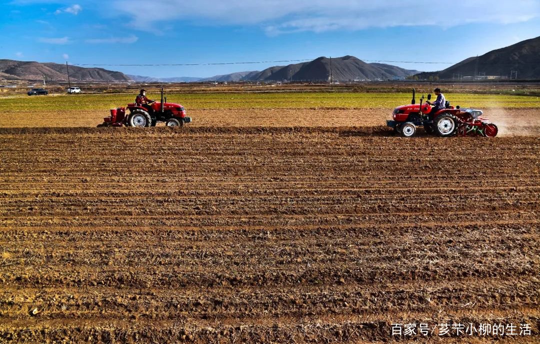 应种尽种，一亩地也不撂荒，疫情给农业生产带来了哪些挑战？