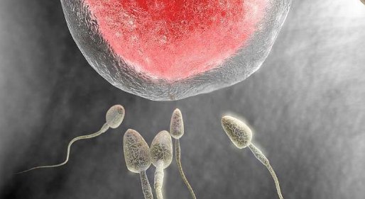 “单身女性冻卵案”一审败诉，“冻卵”是否违反伦理？