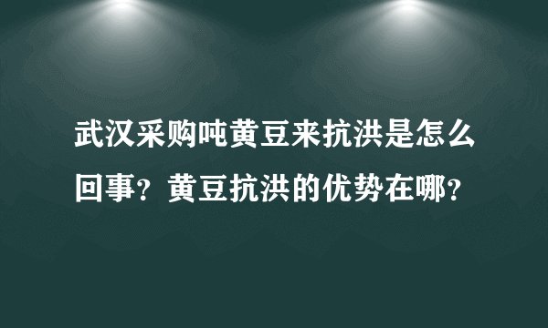 武汉采购吨黄豆来抗洪是怎么回事？黄豆抗洪的优势在哪？