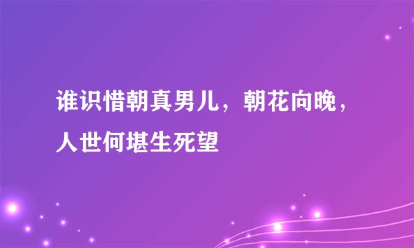 谁识惜朝真男儿，朝花向晚，人世何堪生死望