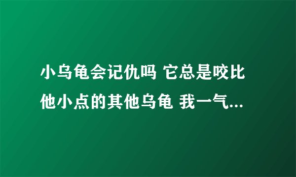 小乌龟会记仇吗 它总是咬比他小点的其他乌龟 我一气之下拿起来用牙签狠狠地教训它 其实我好心疼的？