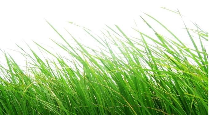 微组词一年级下册语文