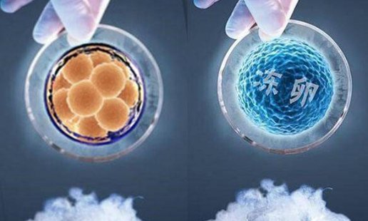 “单身女性冻卵案”一审败诉，“冻卵”是否违反伦理？