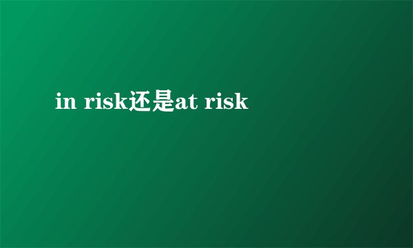 in risk还是at risk