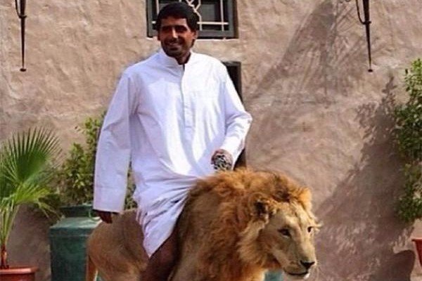 如果中东地区未来可以实现统一,那么最有可能会被哪个国家统一?