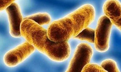 山东2例炭疽病例详情公布，炭疽发病的表现是什么？