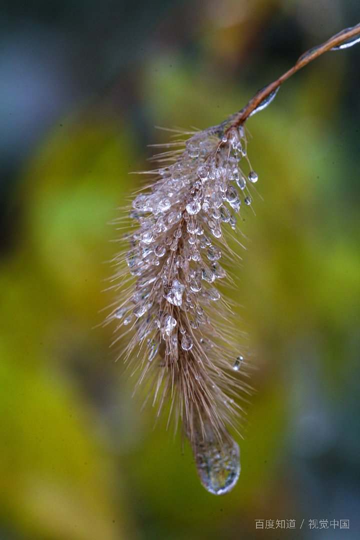 天气变冷为何通常是周末啊？