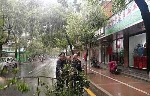 遭袭！婺源突发十级以上雷暴大风，如何应对强对流天气？