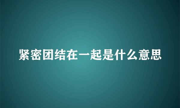 紧密团结在一起是什么意思