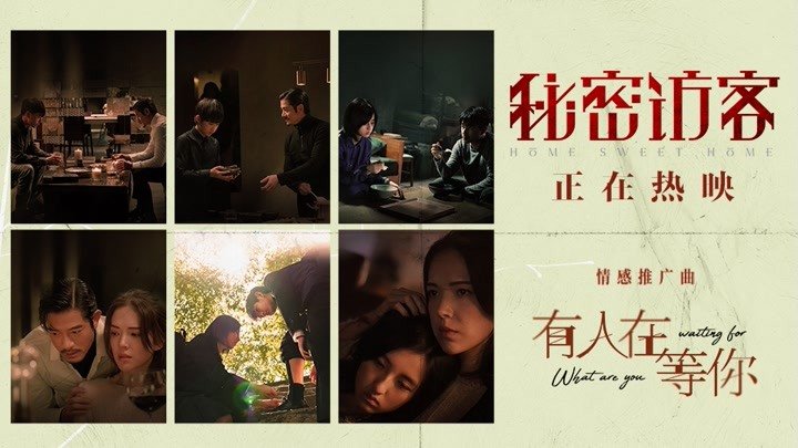 秘密访客是什么？