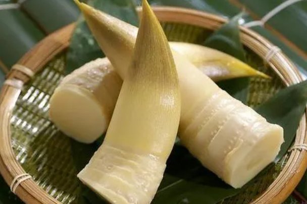 我们和地球猜一猜:菜肴中的