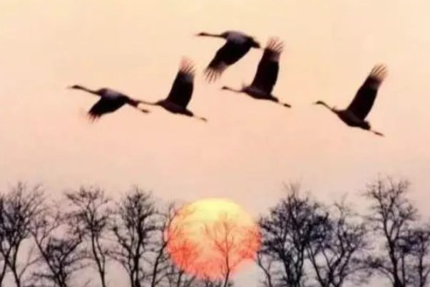 海天龙战血玄黄全诗解释