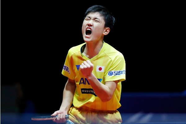 张本智和是中国人吗