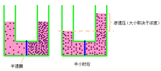 mOSM/L和mol/L 一样吗？？？？