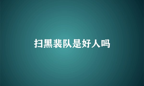 扫黑裴队是好人吗