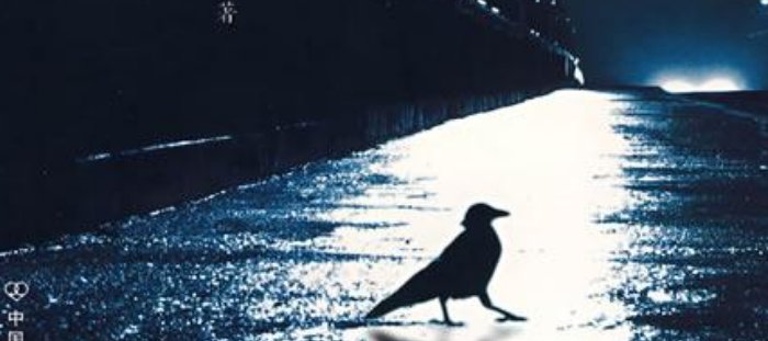 《无人生还》凶手是谁?