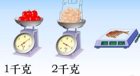 kg是什么单位名称？