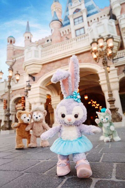 上海一95后姑娘收藏数百只星黛露，为什么很多人都喜欢迪士尼玩偶？