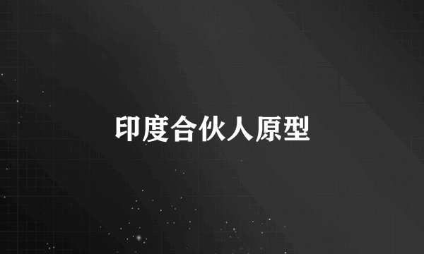 印度合伙人原型