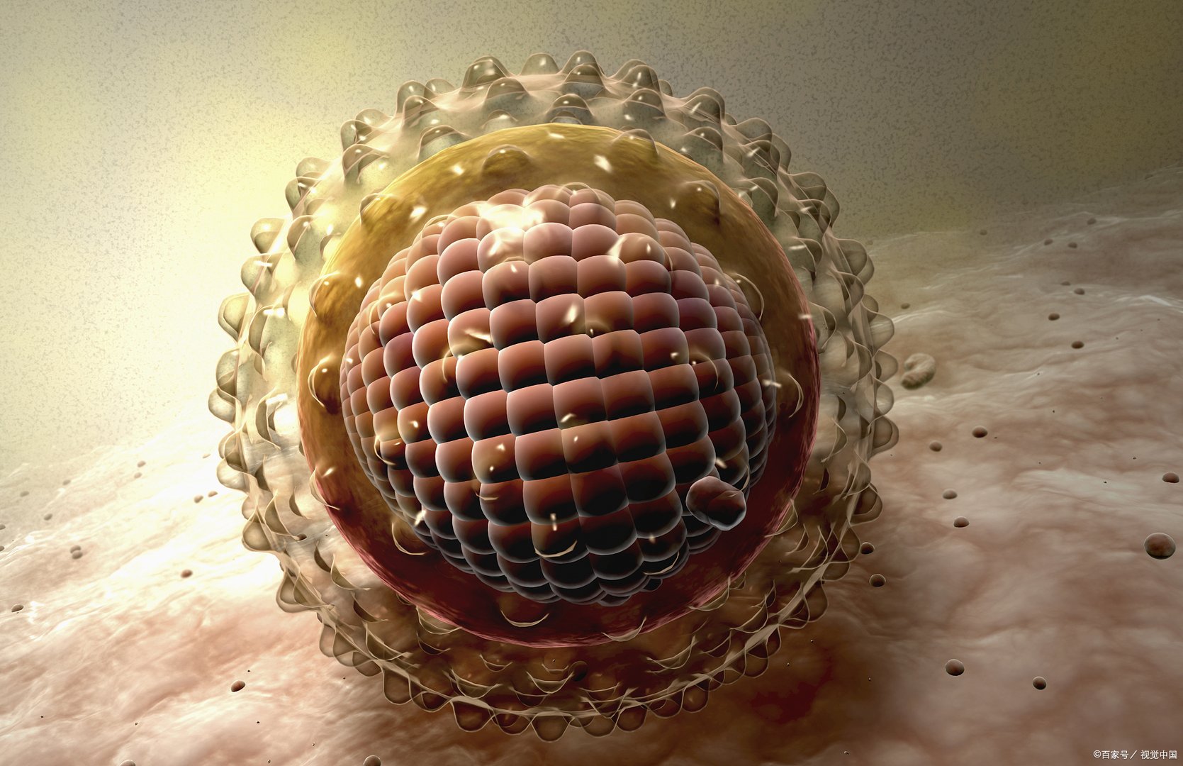 美国首现不明原因急性肝炎死亡病例，这种病的致死率如何？