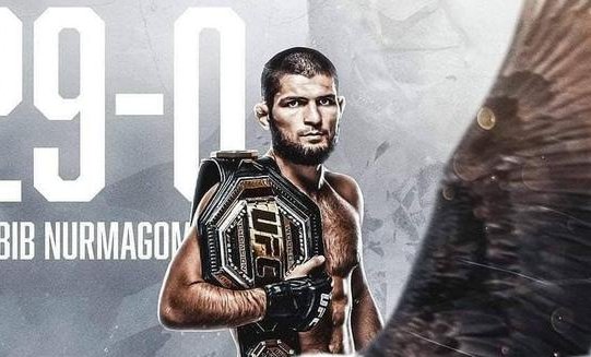 小鹰是不是车臣人啊?