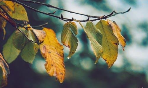 假如一个人给不了另一个人未来，正确的做法是什么？