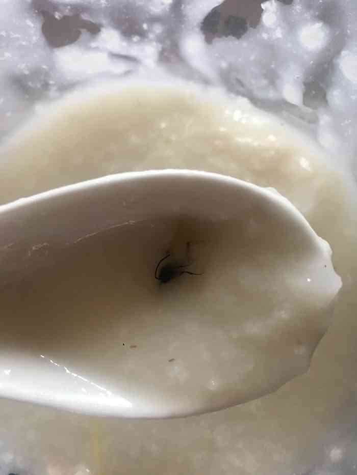 天津一男子自带苍蝇喝粥碰瓷索赔三千元，最终受到了什么样的惩罚？