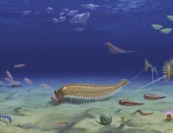 中国学者发现5亿多年前四不像动物，这个动物长什么样子？