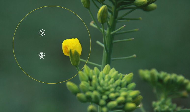 惊蛰意义是什么