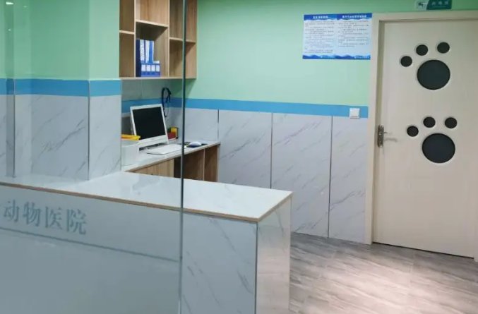 狗吃骨头卡住了怎么办