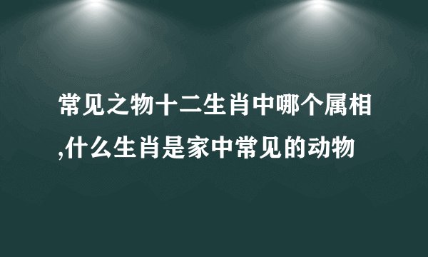 常见之物十二生肖中哪个属相,什么生肖是家中常见的动物