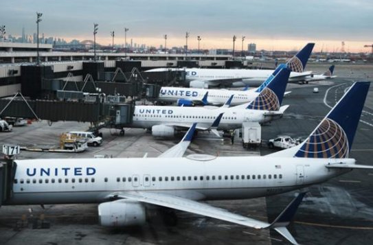 美国一航班惊现活蛇乘客尖叫连连，究竟是如何上飞机的？