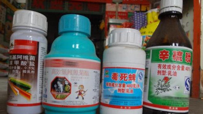 “外地上门女婿”苏州44岁男子街头随即砍人，致1死4伤，到底怎么回事？